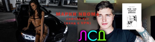 ПСИЛОЦИБИНОВЫЕ ГРИБЫ Новозыбков