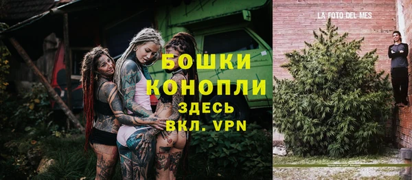 ПСИЛОЦИБИНОВЫЕ ГРИБЫ Новозыбков