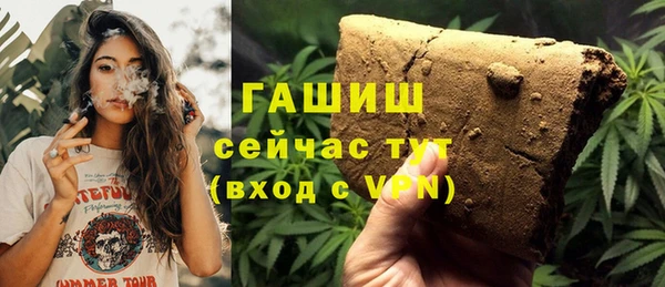 шишки Болотное