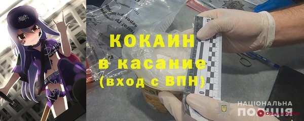 стафф Новодвинск