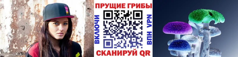 Галлюциногенные грибы Psilocybine cubensis  где купить   ссылка на мегу рабочий сайт  Лысьва 