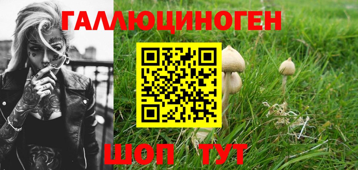Лысьва  Галлюциногенные грибы ЛСД  Вход с VPN 